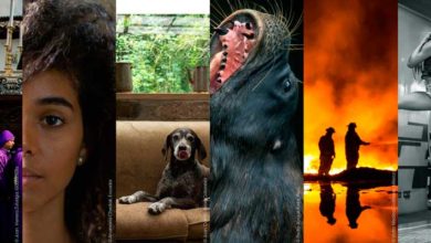 Sony World Photography Awards