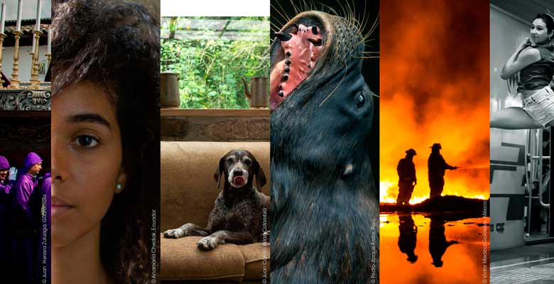 Sony World Photography Awards