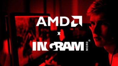 AMD Ingram Micro