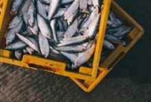 Pescados