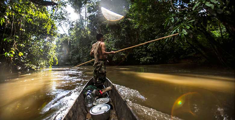 Amazonas