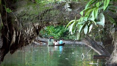 Amazonas