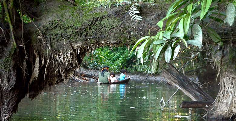 Amazonas