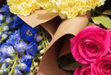 Flores