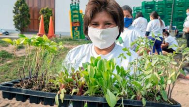 Menorca dona biohuerto y canastas de alimentos