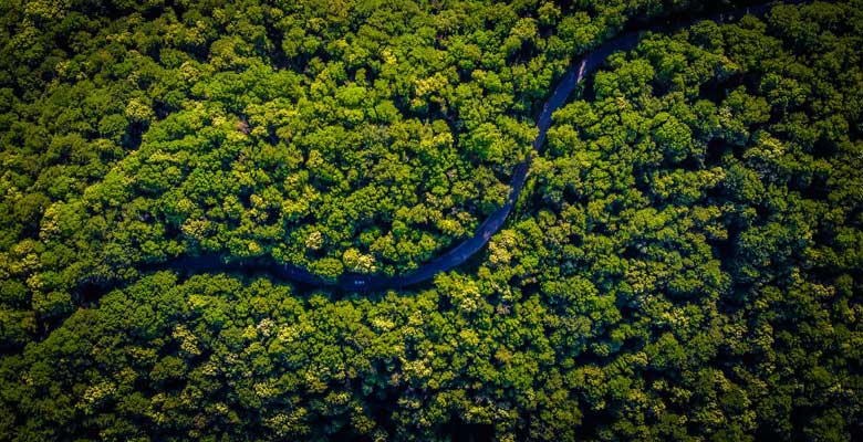 Natura Perú