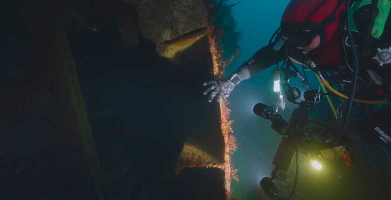 National Geographic estrena la temporada 3 de Secreto en los Océanos