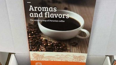 Aromas y sabores