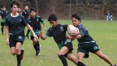 Rugby para todos