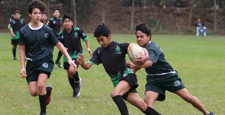 Rugby para todos