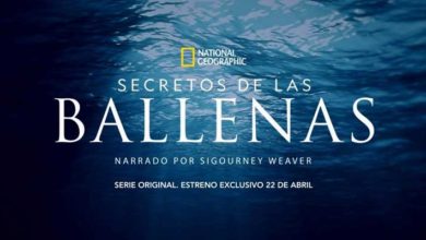 Secretos de las Ballenas