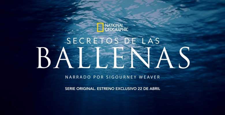 Secretos de las Ballenas