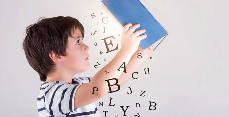 Niño Lectura Libro