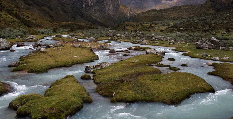 Agua