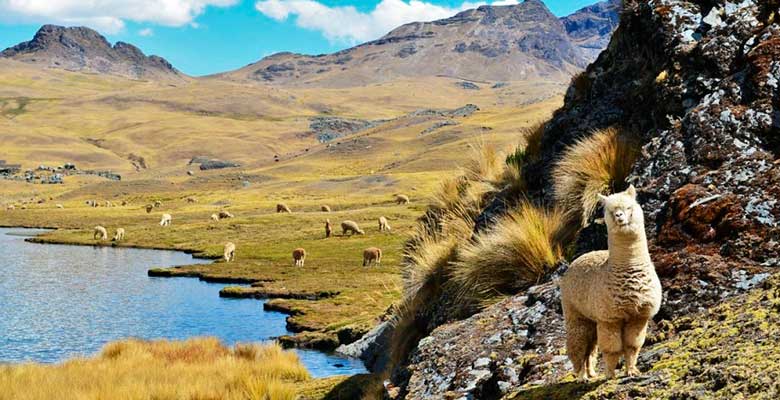 Turismo peruano