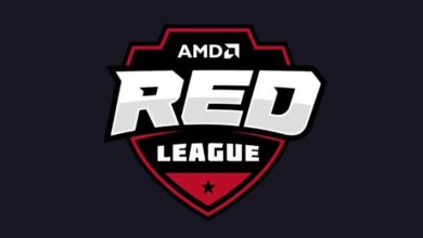 AMD Red league