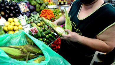 Mercado Alimentos