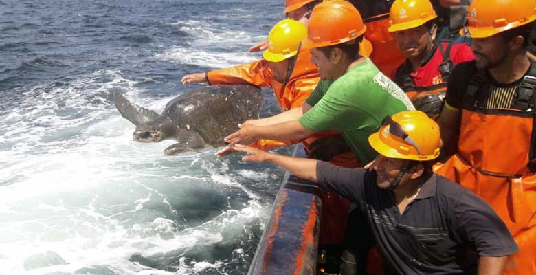 Pesca Peruana