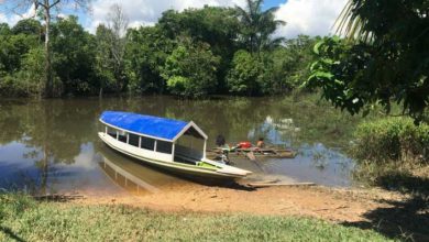 Selva Amazonas