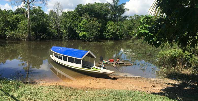 Selva Amazonas