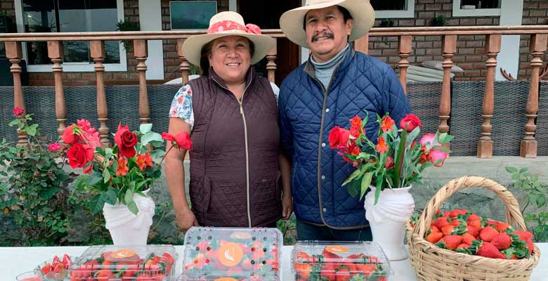 Hacienda La Pretendida