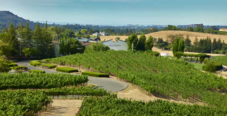 Destilería 16 apuesta por los vinos californianos