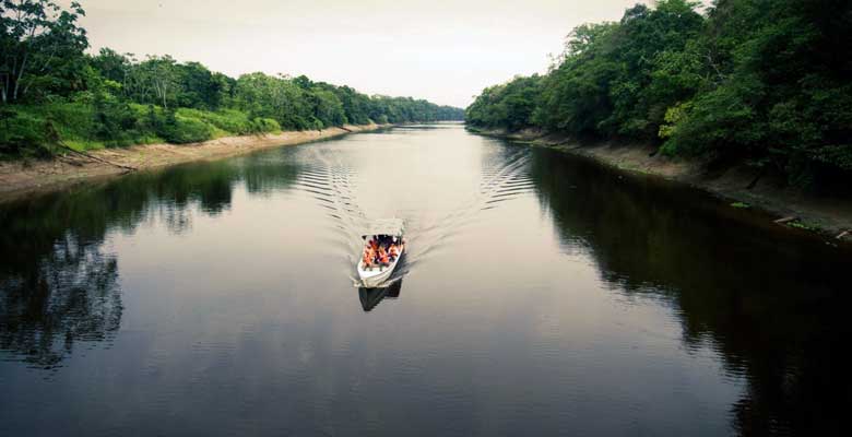 Amazonas