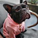 Samsung Galaxy Z Flip3 5G