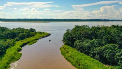 Rio Amazonas