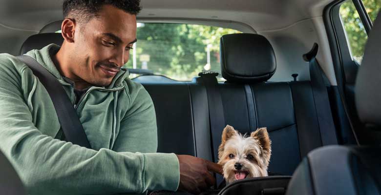 Uber Perú Mascotas