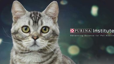 Purina Institute