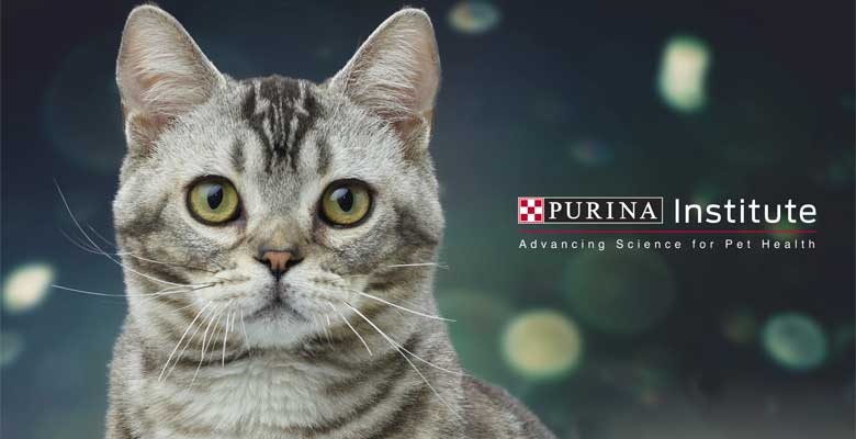 Purina Institute