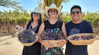 Visitando la Bodega San Nicolás de Pisco 1615