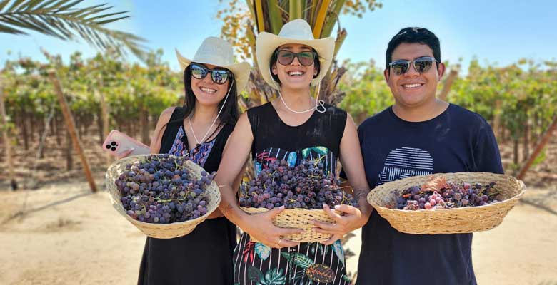 Visitando la Bodega San Nicolás de Pisco 1615