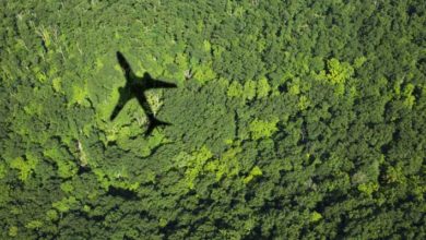 Aviones