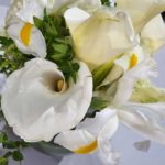 Samsung Galaxy S22 Plus