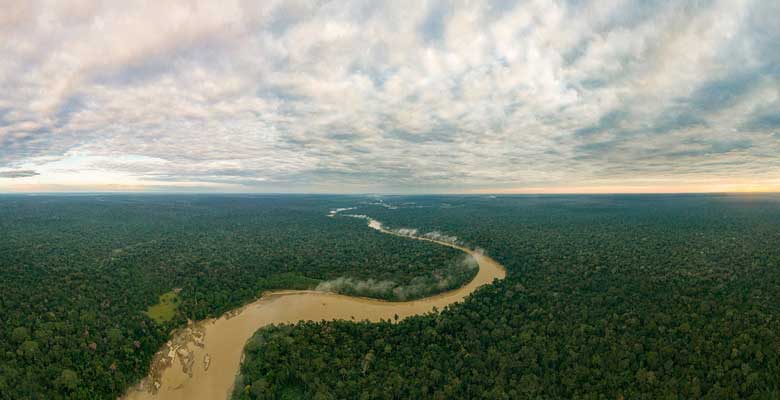 Selva Amazónica