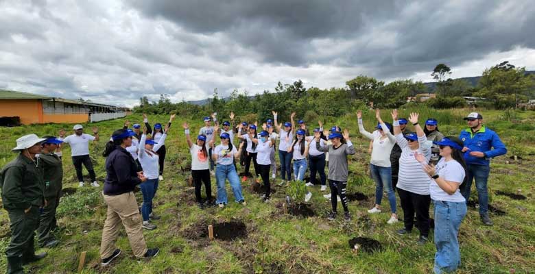 Voluntarios