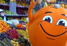 Vive Mandarina