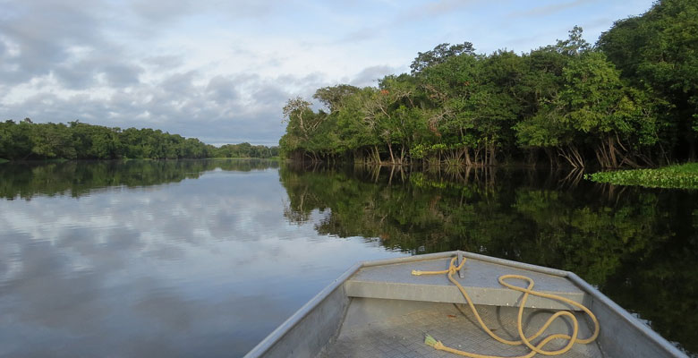 Amazonas