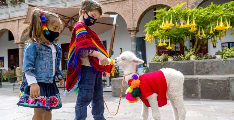 Niños Cuzco