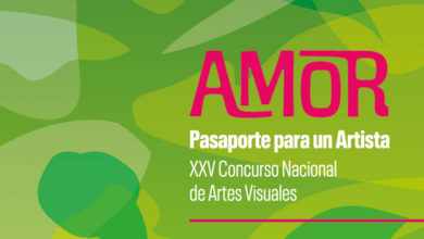 Pasaporte para un artista