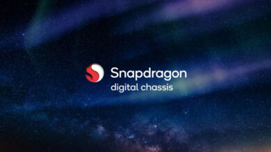 Snapdragon