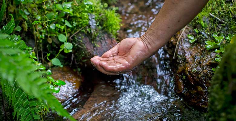 Agua