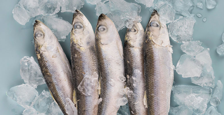 Beneficios de consumir pescados y mariscos congelados