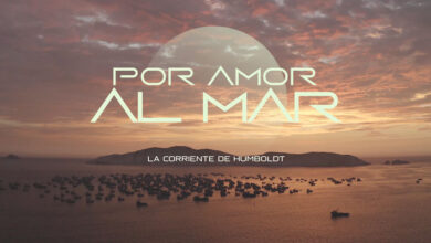 Por amor al mar