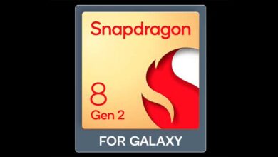 Snapdragon