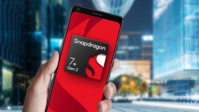 Snapdragon