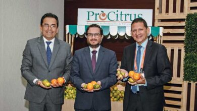 Procitrus