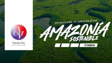 Amazonia sostenible